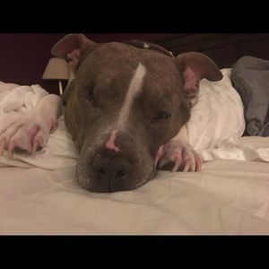 Meet your Posher, Kim